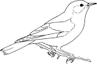 Bird coloring page