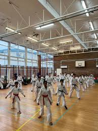 Image result for Addlestone Shotokan Karate Club