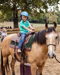 Image result for Lakes Riding Club