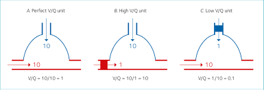 Image result for  v    q