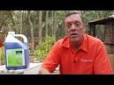 Punch List: Now is the time to weed - Worldnews.