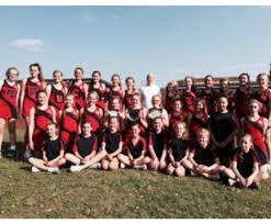 Image result for Wyre Youth Netball Club