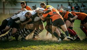 Image result for Harpenden Rugby Football Club