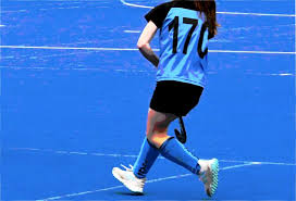 Image result for Wallingford Hockey Club