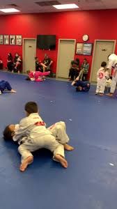 Image result for Avondale Gymnastics Club