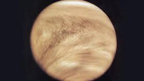 Image result for venus