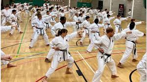 Image result for Harpenden JKA Karate