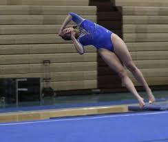 Image result for Vernon Park Gymnastics