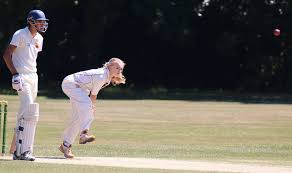 Image result for Worlingworth Cricket Club