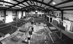 Image result for Concorde Gymnastics Club