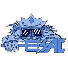 Image result for Seaham Sub Aqua Club