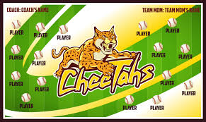 Image result for Cheetahs Softball Team