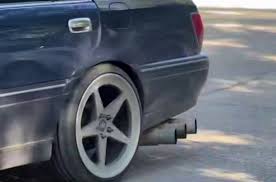 Картинки по запросу белку зажевало в диск