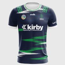 Image result for University Of Limerick Gaa Hurling Club