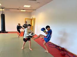 Image result for Vipers Thai/Kickboxing School