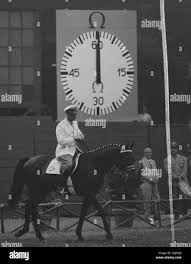 Image result for Fisher Equestrian