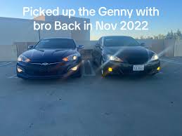 Image result for tuscani tibu...start=0