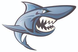 Image result for Selby Tiger Sharks Swimming Club