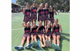 Image result for Starz Junior Netball Club