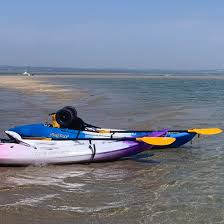 Image result for Portsmouth Octopush Club