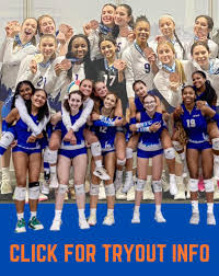 Image result for York University Volleyball Club