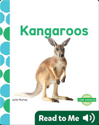 Image result for Reading Kangaroos