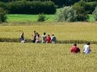 SU1070 : Crop circle near - via Daymix