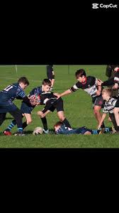 Image result for Aspull RFC