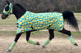 Resultado de imagen para sliced horse