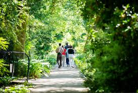 Image result for Arboretum Trompenburg