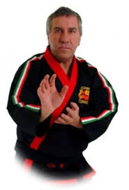 Image result for Hitchin Choi Kwang-Do