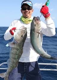 Image result for Aprion virescens