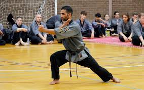 Image result for Shaolin Nam Pai Chuan Kung Fu - Manchester Martial Arts Centre
