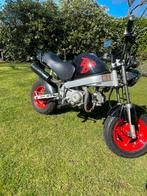 Image result for skyteam pbr teller