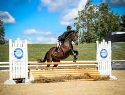 Image result for The Horse Racing Club