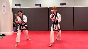 Image result for Alness Tang Soo Do