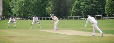 Image result for Buscot Park Cricket Club