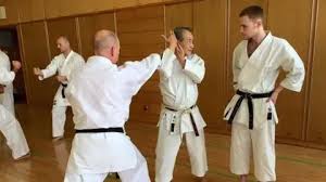 Image result for middlesbrough karate academy
