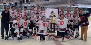 Image result for Demons Skater Hockey Club