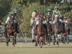 Image result for Cambridge and Newmarket Polo Club