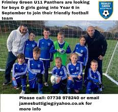 Image result for Frimley Green Football Club