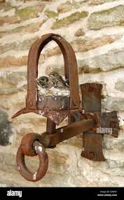 Attēlu rezultāti vaicājumam “Muscicapa striata nest”