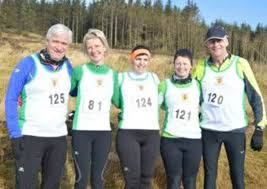 Image result for County Antrim Harriers