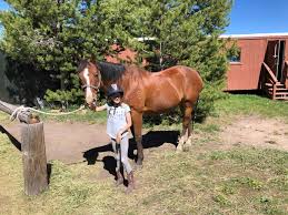 Image result for Buchan Group Riding For The Disabled