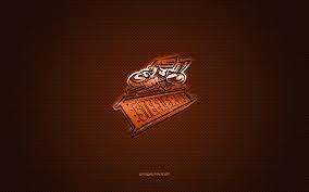 Image result for Sheffield Hockey Club