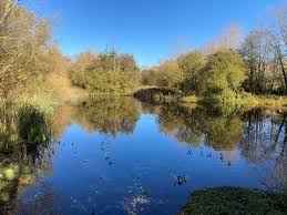 Image result for Thames Valley Angling