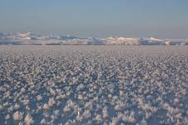 Attēlu rezultāti vaicājumam “Frost Flowers”