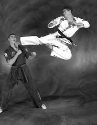 Image result for COMBAT TAEKWONDO