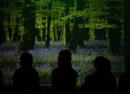 Image result for Hindsford Junior Football Club