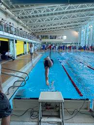 Image result for Kingsbridge Kingfishers Swimming Club